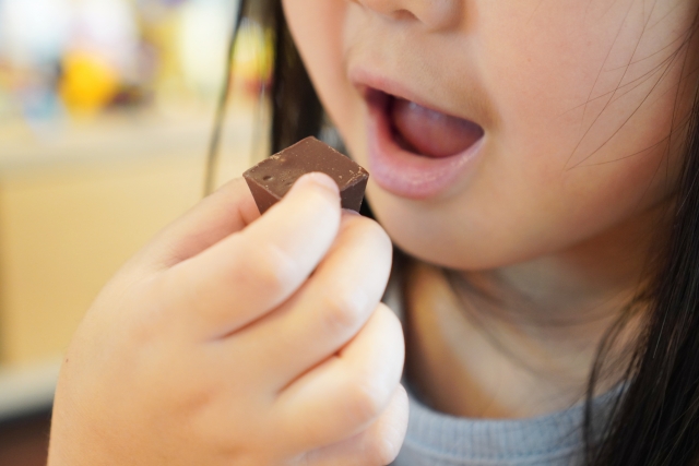 食べ方が歯並びを悪くする?噛み癖の影響とは