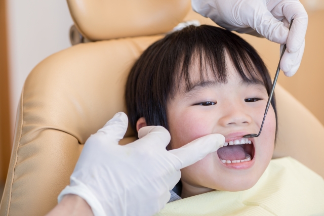 未成熟な歯はむし歯のリスクが高い